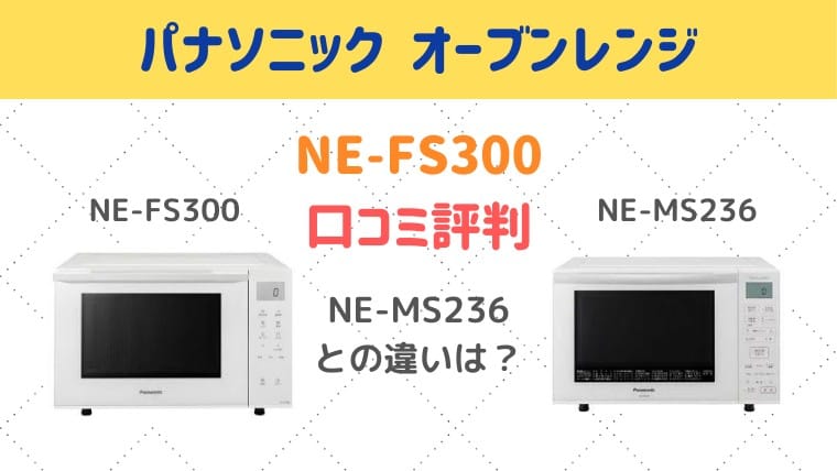 NE-FS300