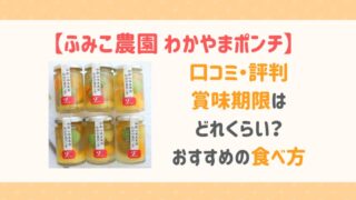 わかやまポンチ