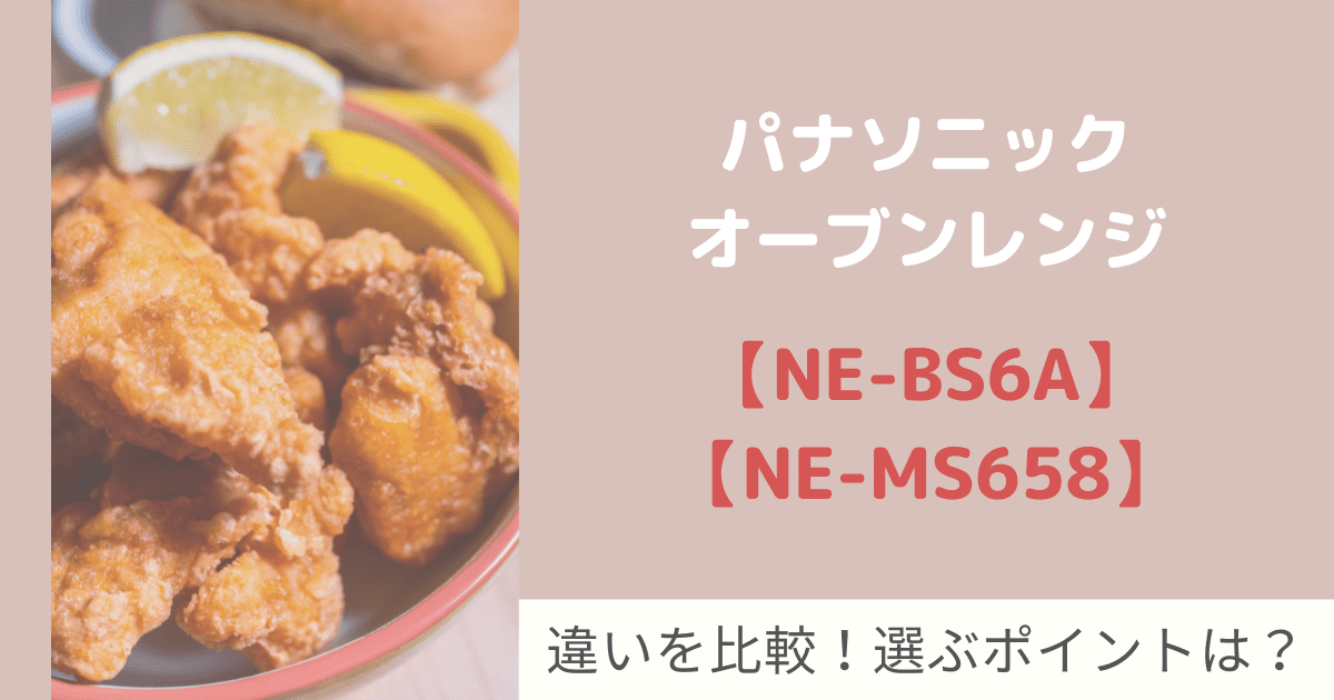 NE-BS6A