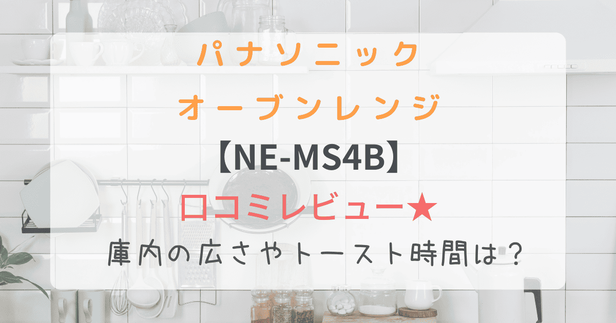 NE-MS4B